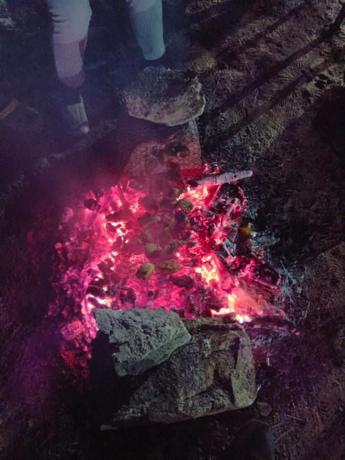 Lavender Guesthouse Czerapuńdżi Zewnętrze zdjęcie